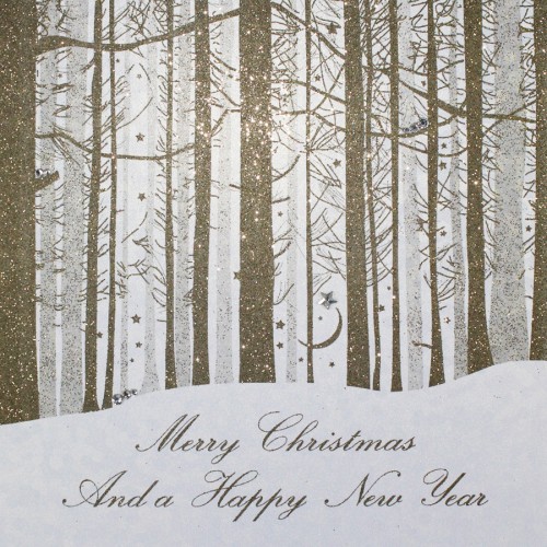 Merry Christmas / Happy New Year  -  Handmade Open Christmas Card  -  EF1