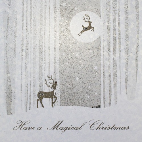 Have A Magical Christmas  -  Handmade Open Christmas Card  -  EF4