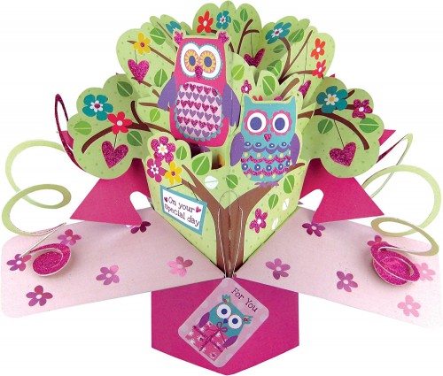 On Your Special Day / Owls  -  Open Pop Up Card -  POP083