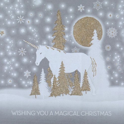 Wishing You a Magical Christmas  - Boxed Christmas Cards  ( 6 Per Box )  SSB3