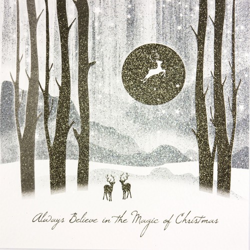 Always Believe In The Magic Of Christmas - Boxed Christmas Cards  ( 6 Per Box )  / TCFB5