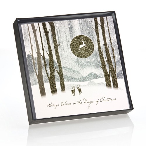 Always Believe In The Magic Of Christmas - Boxed Christmas Cards  ( 6 Per Box )  / TCFB5 - Image 3